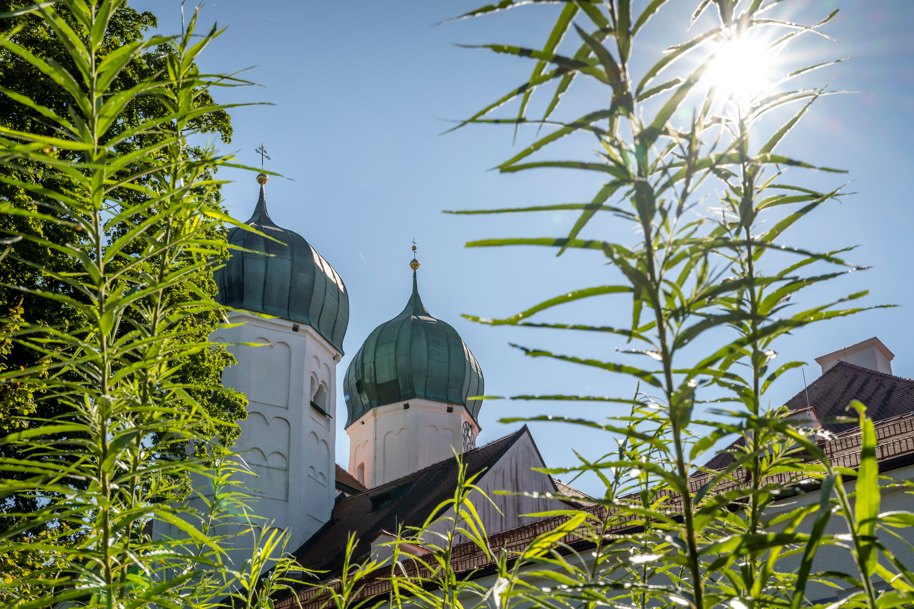 Ein Blick auf die Türme der Kirche Sankt Lambert am Kloster Seeon einen Badesteg mit Rettungsring, im Hintergrund Wasser und Bäume