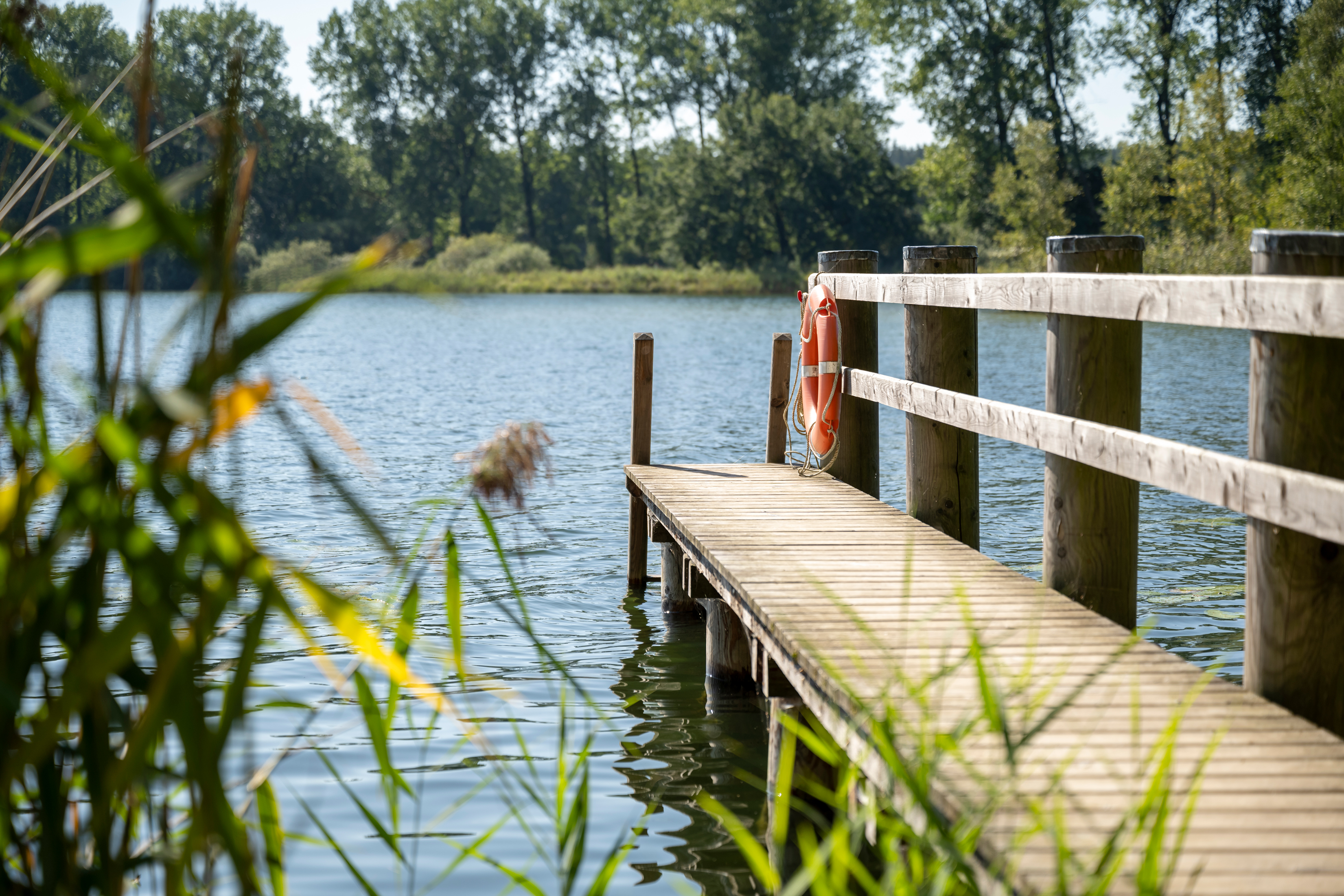 Blick vom Ufer des Seeoner Sees auf einen Badesteg mit Rettungsring, im Hintergrund Wasser und Bäume