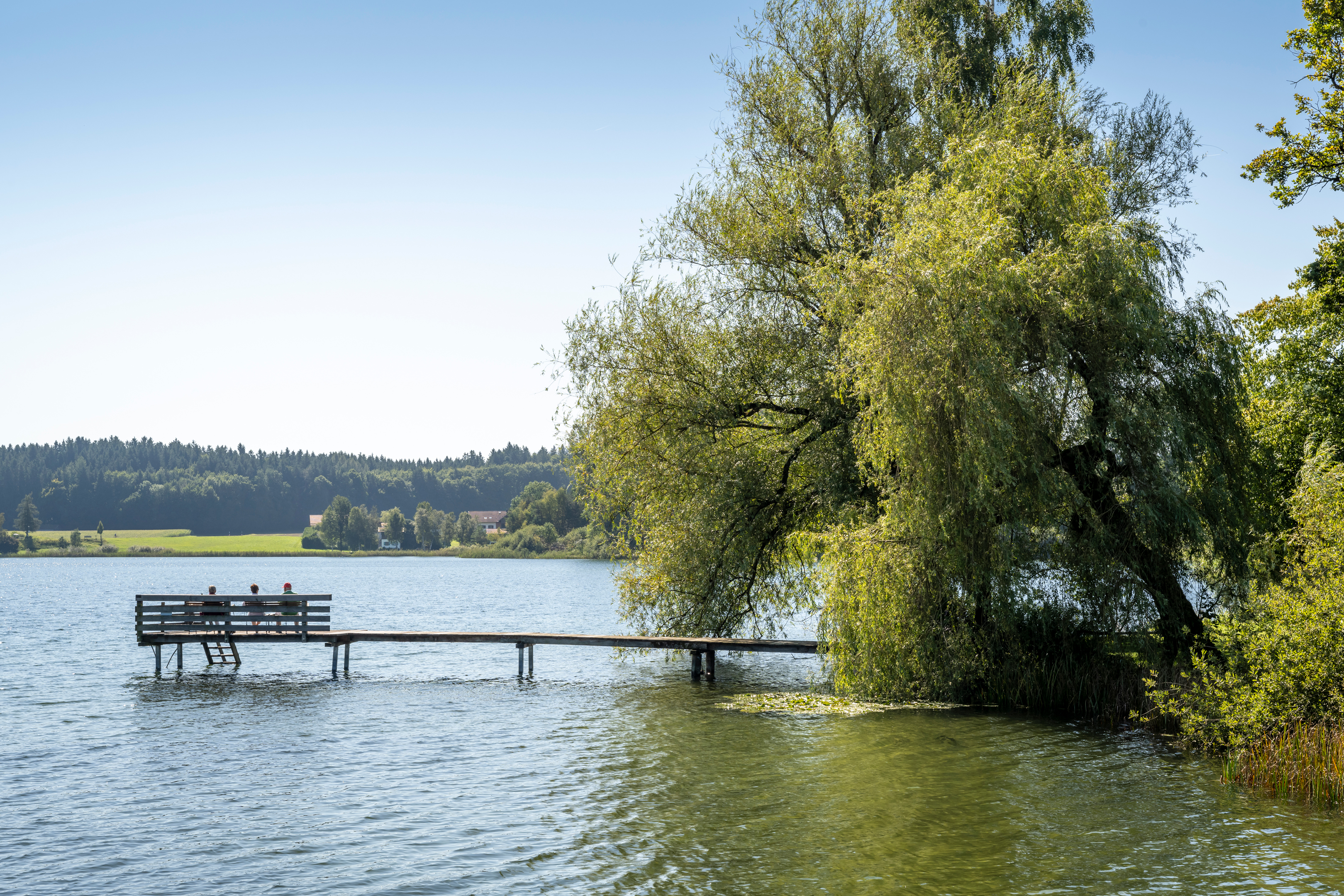 Badesteg am Seeoner See Kloster Seeon