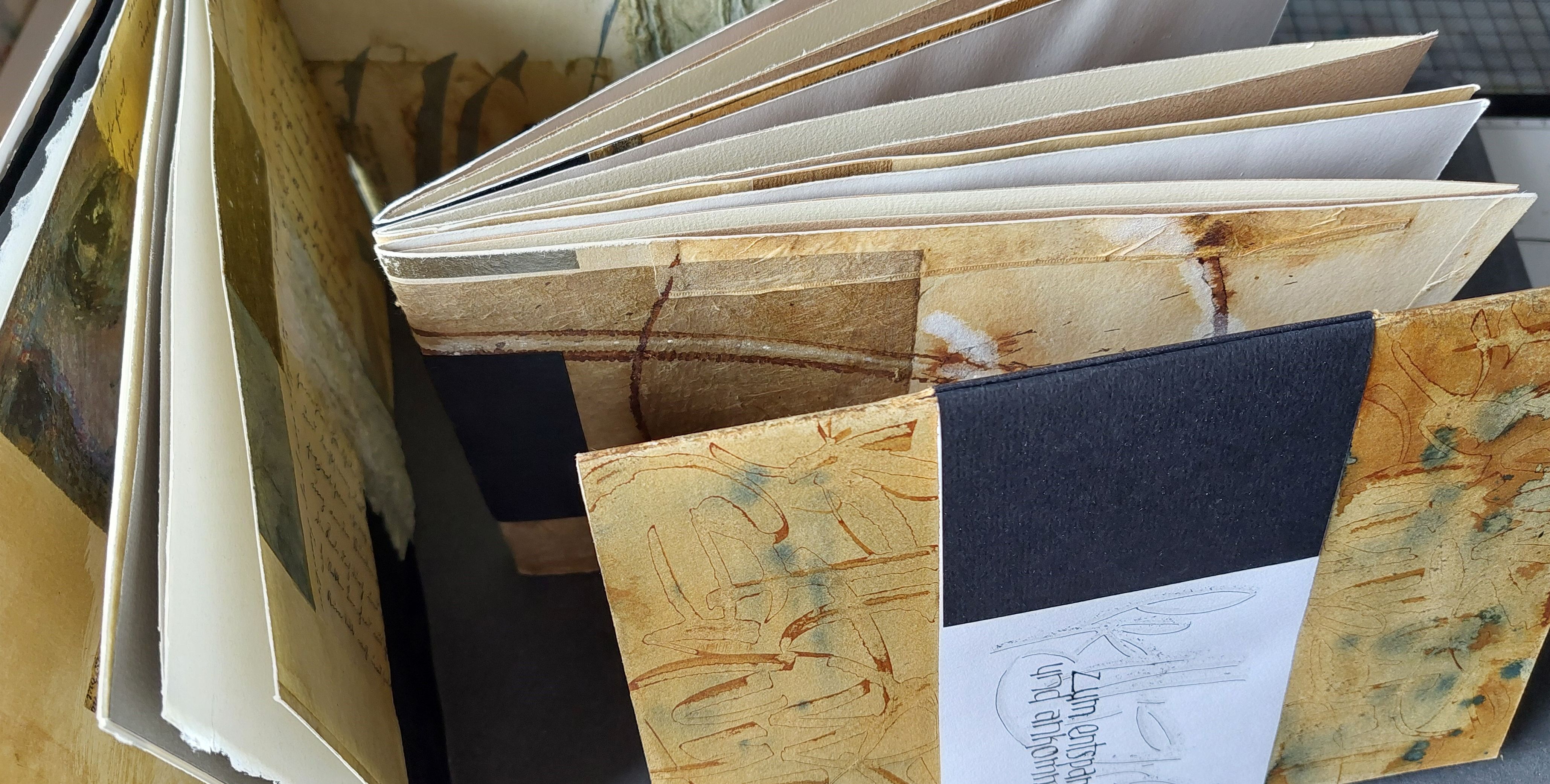 Kalligrafiekurs von 3.8. - 7.8.2026 in Kloster Seeon: Ruling Pen – Antiqua - Schriftspiele